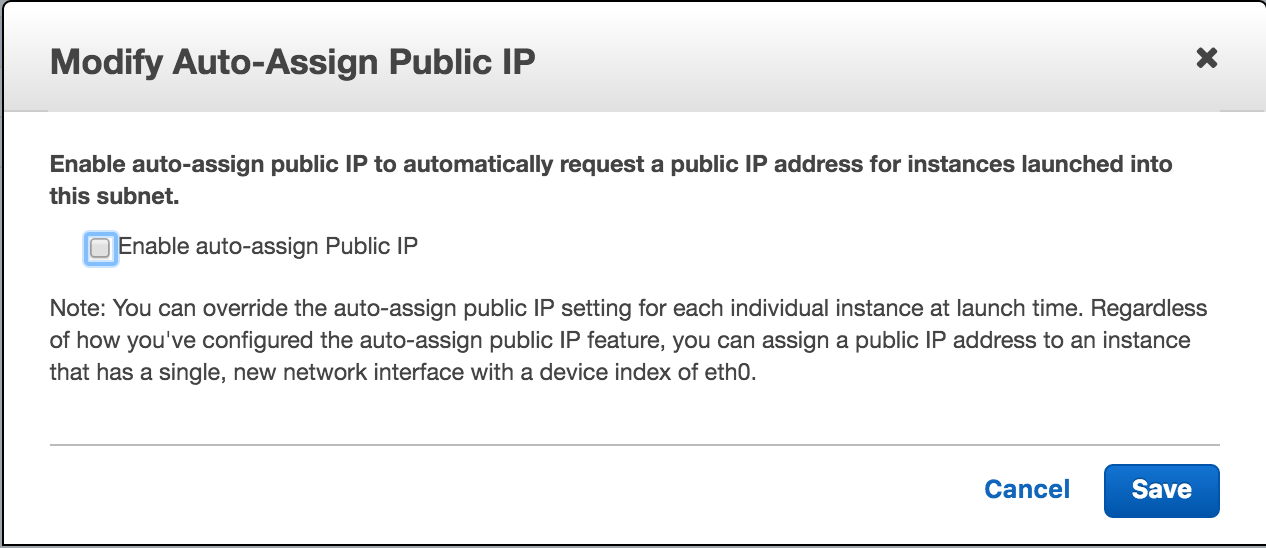 Agent Auto-Assign Public IP