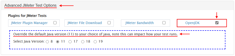 Selecting advanced JMeter load test options